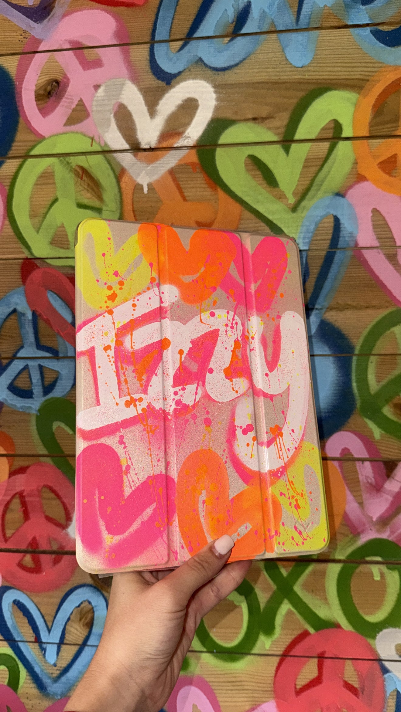 iPad cases