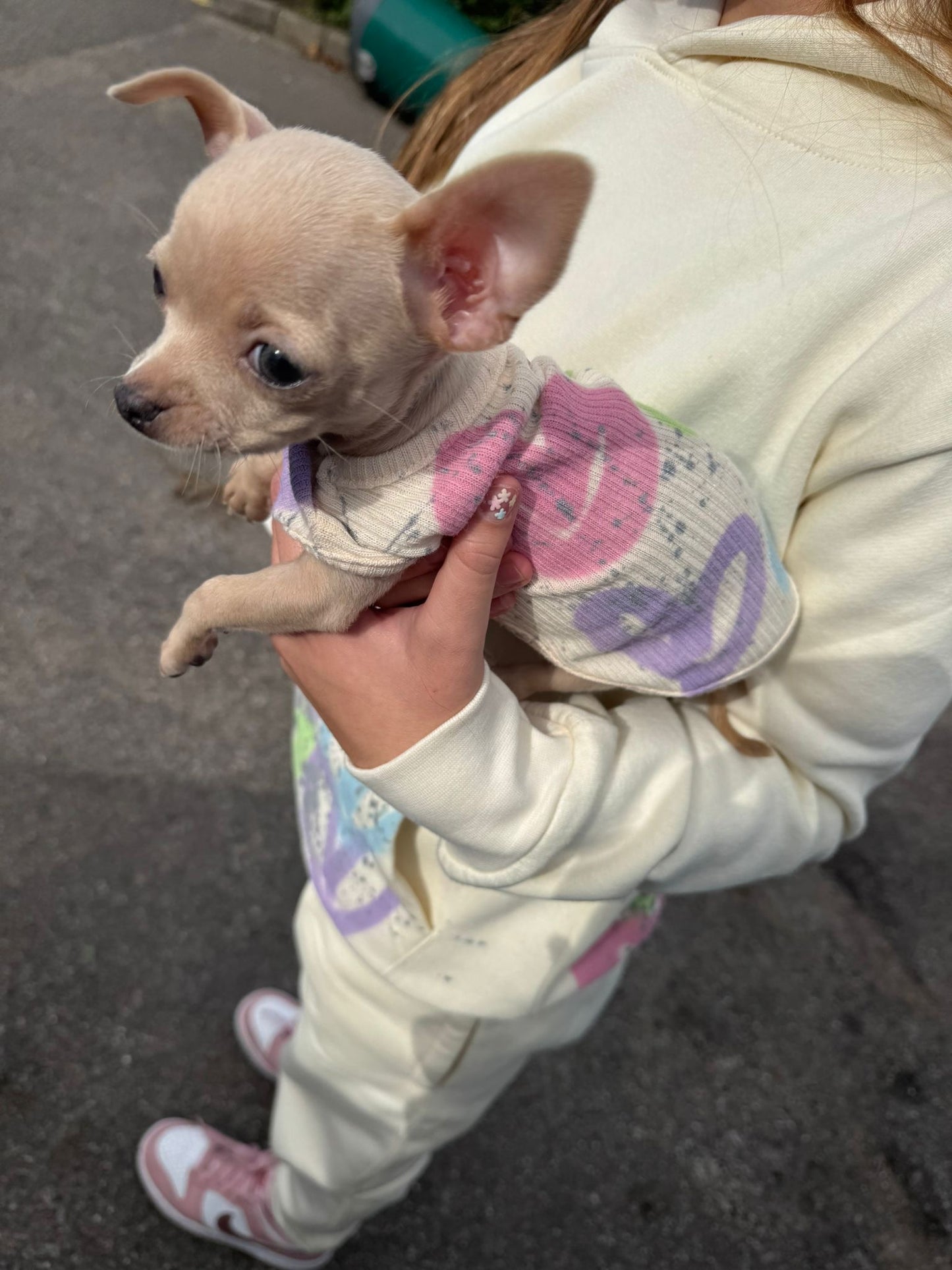 Create your own dog vest🐾🫶🏽